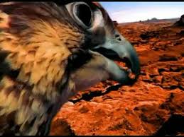My heart is sick and sad i will fight no more. Rednex Spirits Of Hawks Video Dailymotion