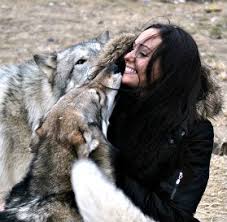 Howling Woods Farm Wolf Sanctuary Nj Wolves And Women Wolf Hybrid Canine