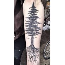 Ran Into Disturbingthepeace666 And Snagged A Healed Photo Treetattoo Redwood Pinetreetattoo Design De Tatouages Arbre Tatouage De Pin Tatouages Jambes