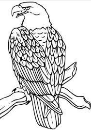 Free, printable mandala coloring pages for adults in every design you can imagine. Pin By Rathod Kirit On Delightful Digi S Bird Coloring Pages Eagle Drawing Animal Coloring Pages