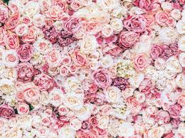 Here you can explore hq pink flowers transparent illustrations, icons and clipart with filter setting like size, type, color etc. 7x5ft Light Pink Floral Flowers Wall Bridal Shower Washable No Wrinkle Banner Photo Studio Background Backdrop Polyester Fabric Background Aliexpress