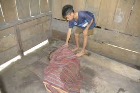 Perjuangan Bocah SD Hidupi Orangtuanya yang Lumpuh, Ayah: Dia yang Urus  Makan, Minum dan Bersihkan Kotoran Kami