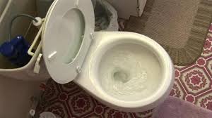 Vinegar In Toilet Tank If You Poke A Hole Into The Lid Of A Bottle Of Vinegar And Then Put The Whole Bottle Into Y Toilet Tank Vinegar In Toilet Tank