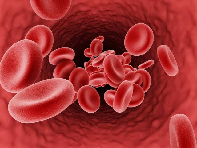 Iron Deficiency Anemia Treatment In Dubai | Dr Neil Galletly