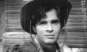 Tarcísio Meira deverá ter cinzas espalhadas em sua fazenda de Porto Feliz,  revela filho do ator