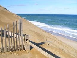 Birds Of Cape Cod National Seashore A True Treasure That We Have Is The Cape Cod National Seashore Despite The Fact That Thousands Of People Visit These B With Images England Beaches Ocean View New England