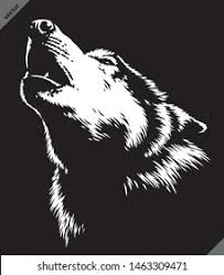 Howling wolf drawing black and white | how to draw wolf howling at the moon drawing night scenery. Black White Linear Paint Draw Wolf Stock Vector Royalty Free 1463309471