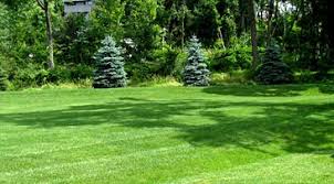 The best search method is subjective, since different homeowners are in different situations and, therefore. Organic Lawn Care Company Lawn Care Service In Nj Greener Lawns