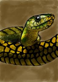 You may use any color you wa. Snake Digital Painting By Xdome Snake Painting Snake Art Painting Snake Art