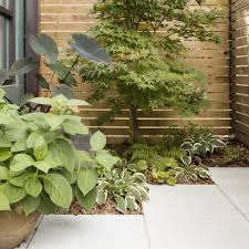 Low Maintenance Garden Ideas Garden Design Ideas Low Maintenance I've only had the plant a week and a few days and several new plants are coming up through the surface of the soil. low maintenance garden ideas garden