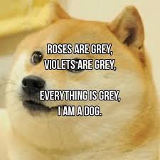 Hilarious Roses Are Red Poems That Will Make Your Valentines Day 16 Pics Funnymemes Funnypictures Roses Are Red Poems Funny Valentines Poems Funny Poems