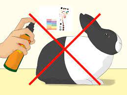 If you are not convinced, ask which dry shampoo is best to dry bath your rabbit.another remedy if you haven't got dry shampoo is to use baby cornstarch, widely available in most supermarkets (though you should not mistake it for talcum powder or regular baby powder). 3 Ways To Bathe Your Pet Rabbit Wikihow