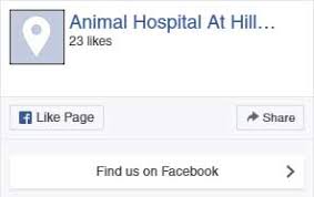 Check spelling or type a new query. Veterinarian And Animal Hospital In Madison Wi Animal Hospital At Hillshore