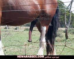 صور زب حمار حصان فيل كلب قط