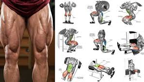 It also avoids the impact of running or jumping. Top 6 Exercises On How To Build Leg Muscle Leg Workout Leg Muscles Leg Day Workouts