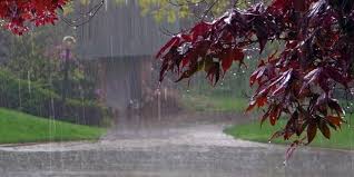 After you get familiar with the climate of india, the next thing that could be important for you is to know the three main seasons. Essay On 4 Seasons In India Summer Rainy Autumn And Winter