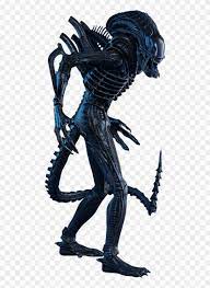 After all, a good horror game doesn't rely on jumpscares. Alien Xenomorph Transparent Hd Png Download 480x1069 67253 Pngfind
