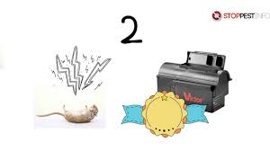 There are several methods available for both indoor and outdoor rat control and you should choose the method(s) that best fits your. How To Get Rid Of Rats In Your Yard Killing Vs Repelling