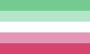 Pink for femininity, blue for masculinity, purple for both masculinity and femininity, black for the lack of gender. Were You Aware All These Lgbtq Pride Flags Existed Hornet The Gay Social Network