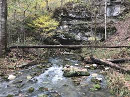 O Bannon Woods State Park Indiana Www Plannedspontaneityhiking Com State Parks Park Indiana