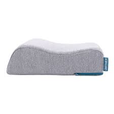 Image result for Orthopichonia