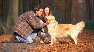 Revealed Why Are Dogs So Loyal To Humans Purina