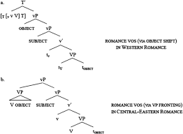 That is, it is a process of syntactic change, with different stages of evolution depending on the. Object Shift In Romance Springerlink