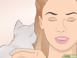 3 Ways to Bond With Your Kitten