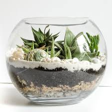Pin By Kathrin Rothstein On Green Light Homedecor In 2020 Succulents In Glass Succulent Garden Diy Succulent Terrarium