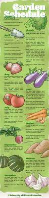 A Month By Month Guide To Gardening Veggie Garden Plants Growing Vegetables