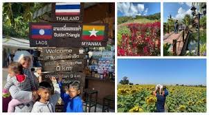 Bercuti ke chiang mai 2018 guna kereta api. Bapa Ni Kongsi Pengalaman Bawa Kereta Sendiri Dari Kl Ke Utara Thailand Cuaca Sejuk View Cantik