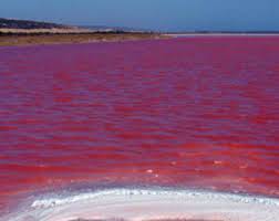 Gambar laut merah di mekah. 21 Gambar Laut Merah Di Mekah Pemandangan Top Banget