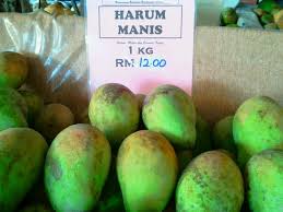 Buah mangga harumanis dari perlis. Musim Harum Manis Di Perlis Ahmad Faizar S Weblog