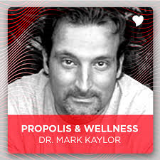 How Propolis & Wellness Are Linked