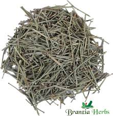 Image result for Elymandra grallata