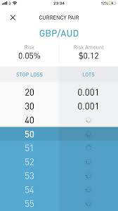 Does a larger lot mean my home is worth more? I Don T Understand The Stinu App I Am Currently Thinking Of Putting A Trade On Gbpaud With A Lot Size Of 0 05 On A Account With 230 And I Can T Seem To