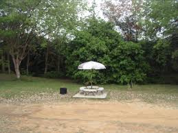 Negeri ini terbahagi kepada dua bahagian iaitu seberang pulau (dalam pulau) dan seberang perai. Laman Rasmi Majlis Bandaraya Seberang Perai