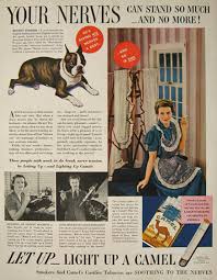 Bermuda # mr tiffany, caramel boston, snow white flamenco lux, camel mr massisa, chartreuse massisa, fudge # mr boston, cranberry. 1938 Camel Cigarettes Ad Boston Terrier Vintage Cigarette Tobacco Ads