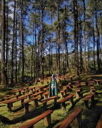 Kumpulan Foto Instagram Di Orchid Forest Lembang Yang Membuat Anda Ingin Segera Berkemas