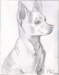 Chihuahua Coloring Pages Bing Images Perros Dibujos A Lapiz Dibujo De Perro Dibujos De Perros