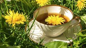 But be sure to wash first even before drying. 8 Amazing Benefits Of Dandelion Tea For Your Health Ndtv Food