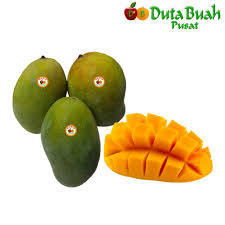 Bunda pastinya ingin tahu tips memilih buah mangga sebaiknya pilih buah mangga yang batangnya tidak terlihat digunting. Duta Buah Mangga Harum Manis Premium 900g 1kg Shopee Indonesia