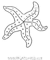 Coloriage Mer Et Poissons Gratuit 8173 Animaux Coloriage Mer Coloriage Petit Dessin