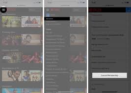 How To Cancel Netflix Subscription On Iphone And Ipad Igeeksblog Netflix Subscription Netflix Iphone