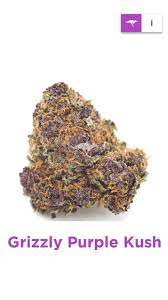 Grizzly Purple Kush Grizzlypurplekush Kush Purple Grizzly