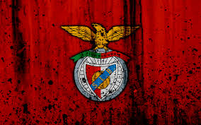 Explore manuel garcía andrés' photos on flickr. S L Benfica 4k Ultra Hd Wallpaper Background Image 3840x2400 Id 989965 Wallpaper Abyss
