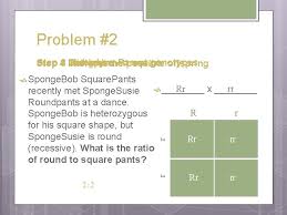 Type your way from a to sea. How To Make A Punnett Square A Step