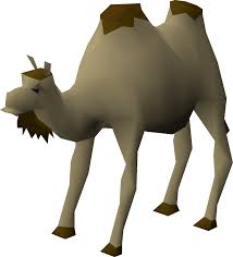 If there is no configuration option, what would be the best way how to do that via plugin? Al The Camel Osrs Wiki