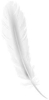 White Feather Png Clip Art Image Gallery Yopriceville High Quality Images And Transparent Png Free Clipart Clip Art White Feathers Art Images