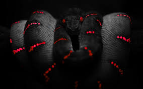 Computers ultra hd desktop background wallpapers for 4k & 8k uhd tv : 50 Black And Red Desktop Wallpaper On Wallpapersafari
